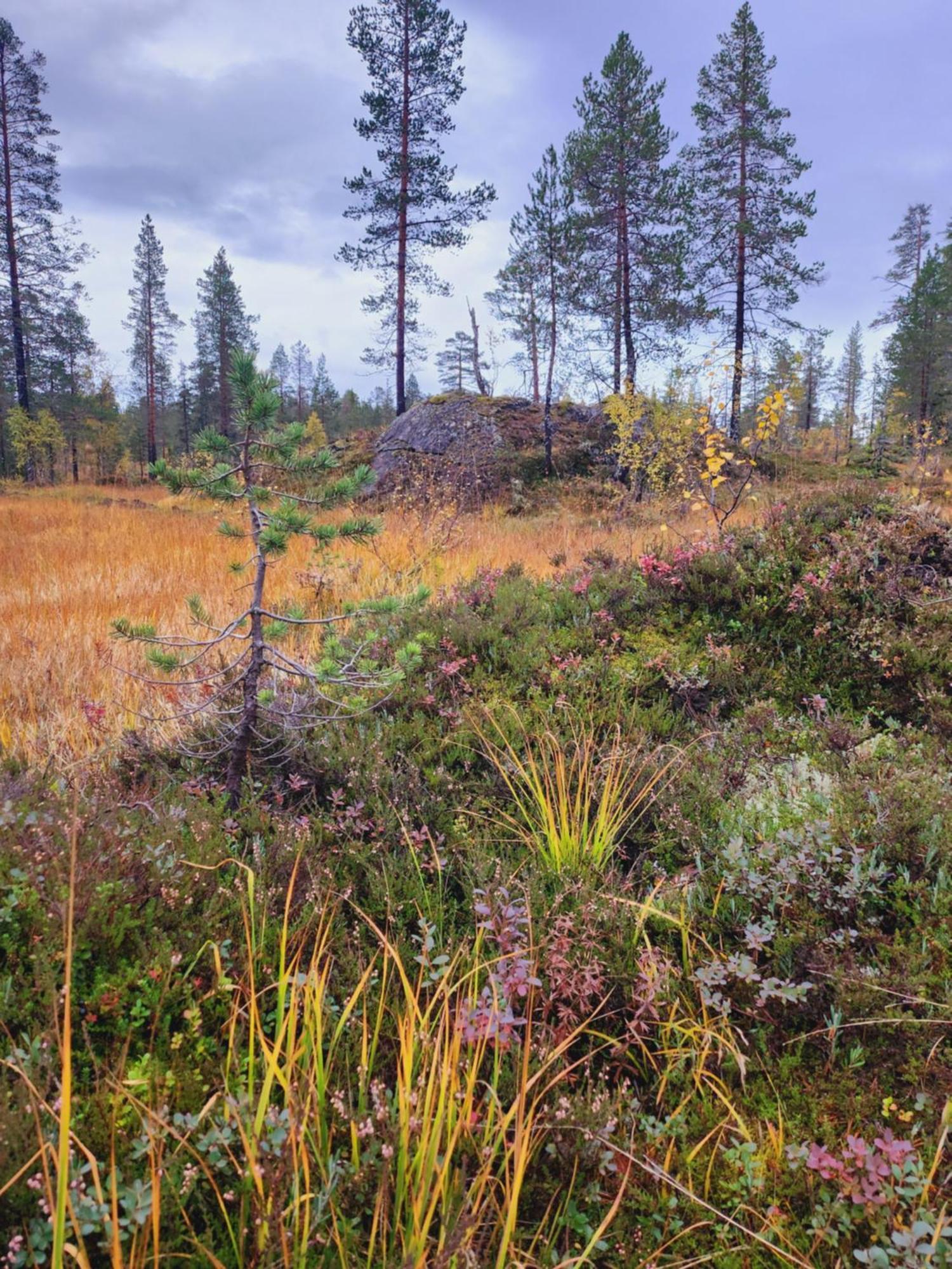 Granheim Villa Namsskogan Buitenkant foto